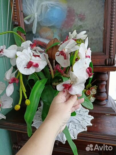 Искусственные цветы орхидеи силиконовые