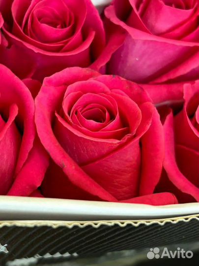 Роза Эквадор Опт