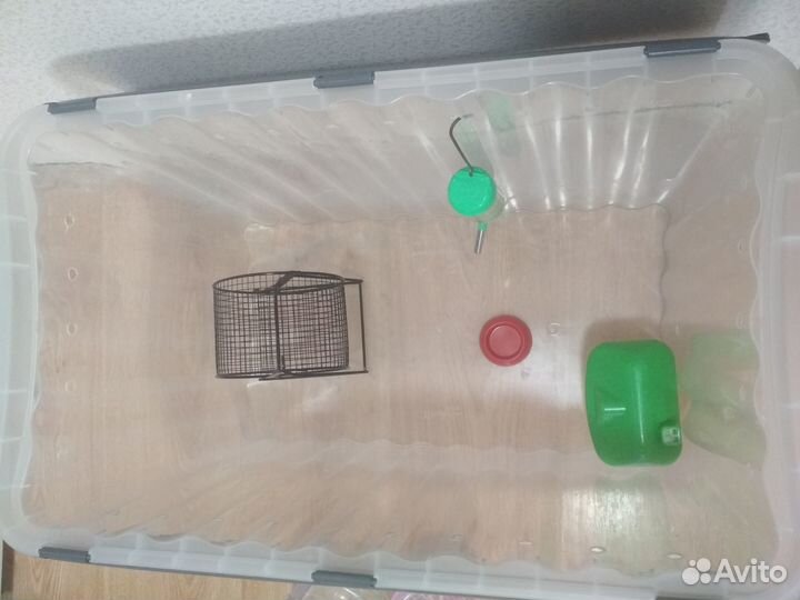 Домик для джунгарика