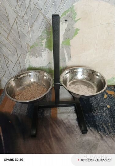 Щенок хаски