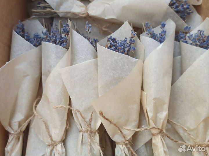 Лаванда сухоцвет