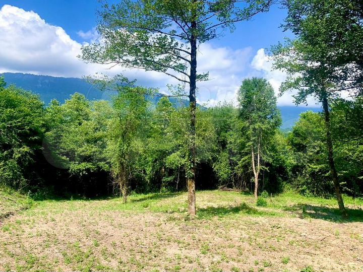 Участок 8 сот. (ИЖС)