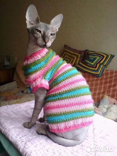 Одежда для сфинкса, девон рекса. Новое