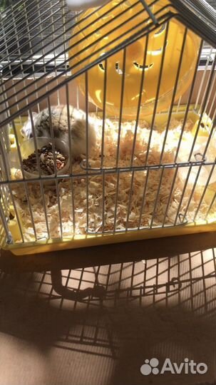 Клетка,колесо и миски для хомячка