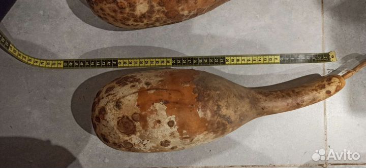 Тыква декоративная бутылка лагенария