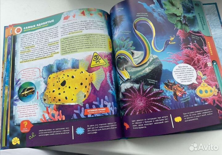 Энциклопедия Секреты Океанов новая