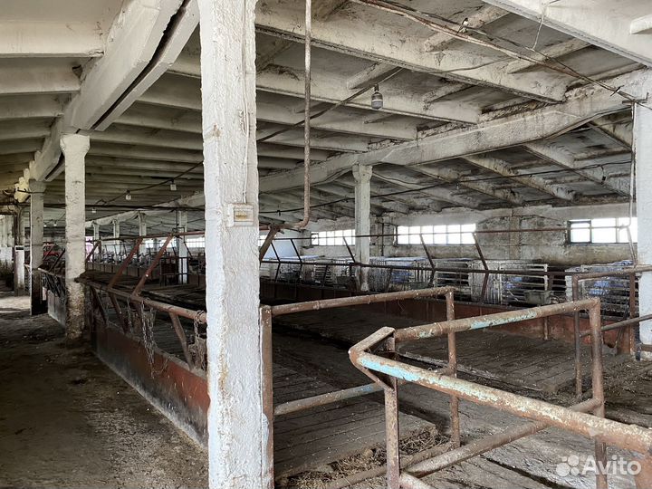 Продам животноводческий комплекс большой дом