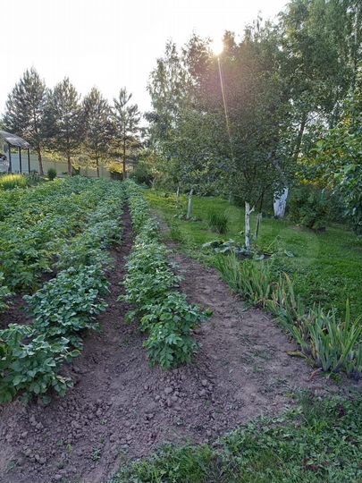 Участок 12 сот. (ИЖС)