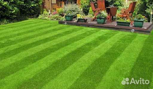 Укладка и продажа рулонного газона