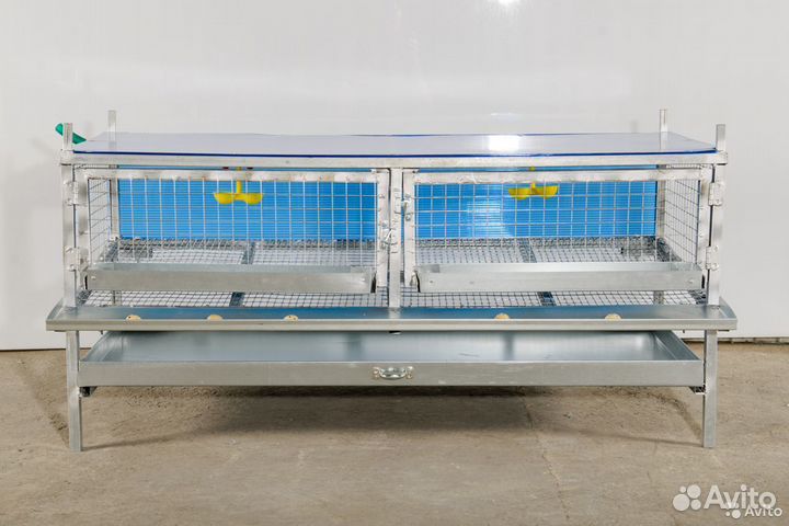 Клетки для кур