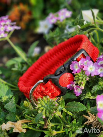 Ошейник из паракорда