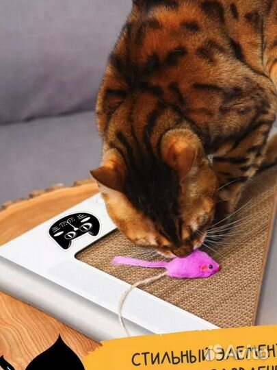 Когтеточка картонная напольная с игрушкой
