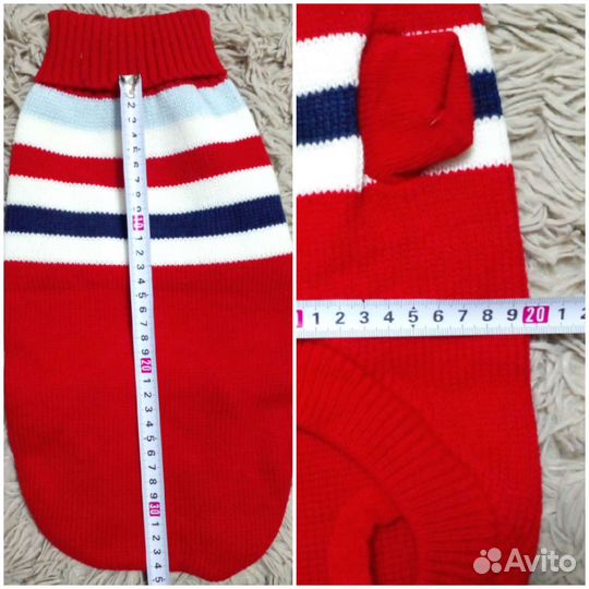 Одежда пакетом для собачки xl