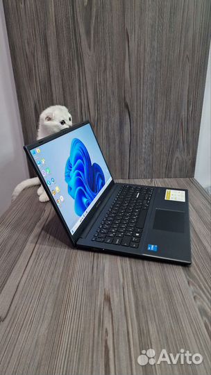 Asus с oled экраном