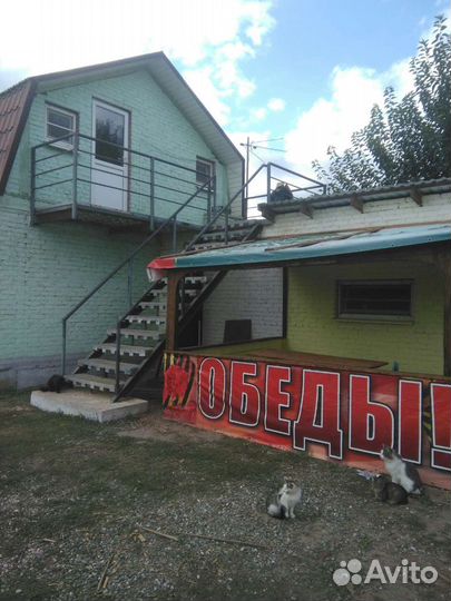 Рыбалка и отдых