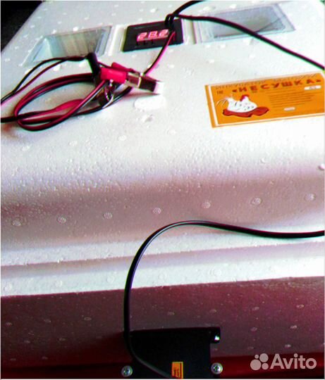 Инкубатор с гарантией