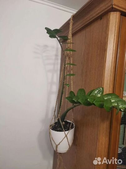 Кашпо для цветов подвесное