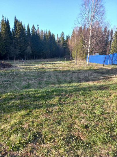 Участок 10 сот. (СНТ, ДНП)