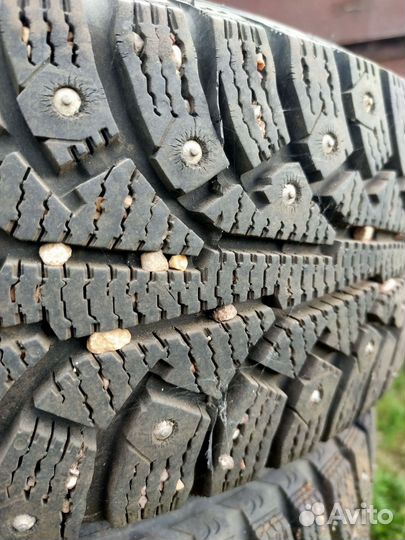 Nordman 5 175/65 R14