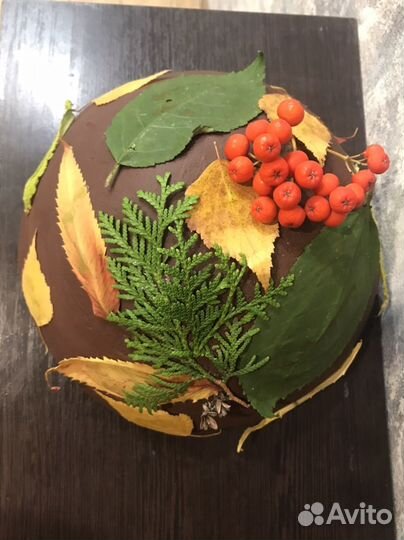 Шляпка грибочка