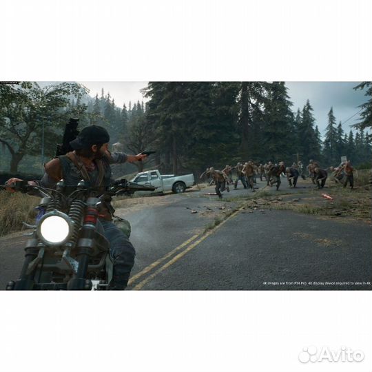 Жизнь После / Days Gone (PS4)