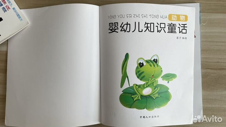 Книга на китайском языке