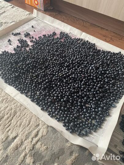 Продукты питания