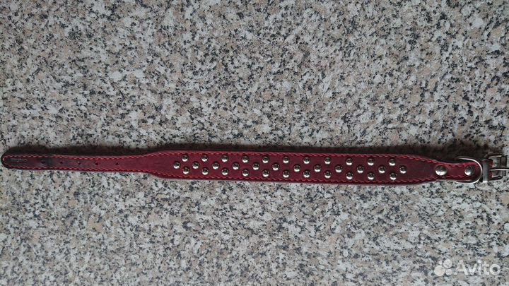 Ошейник для маленькой собаки