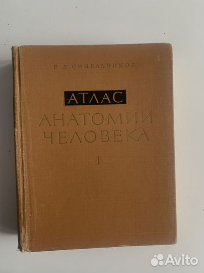 Атлас анатомии человека синельников