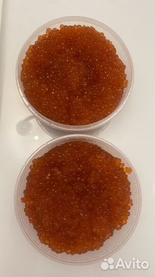 Красная икра горбуши свежий улов