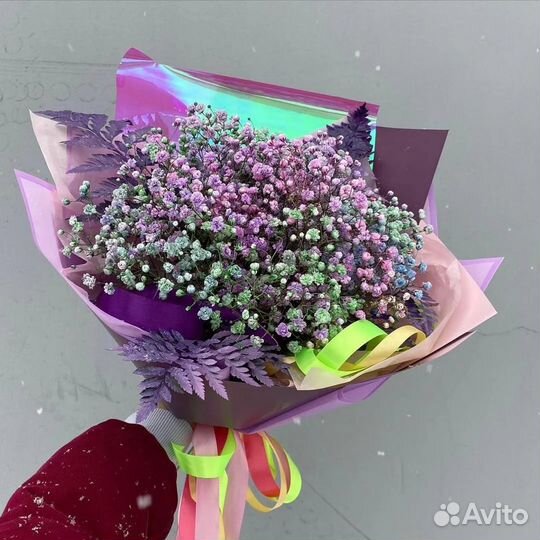 Гипсофила радужная