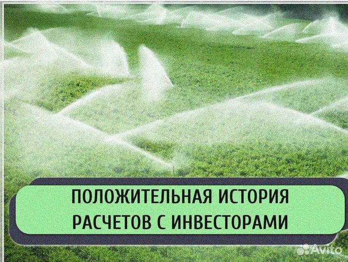 Развивающаяся компания ищет инвесторов