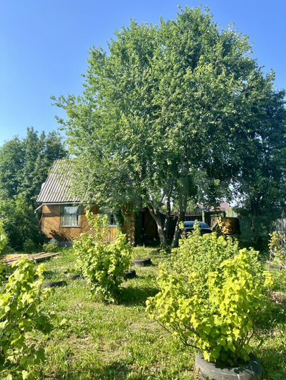 Дача 30 м² на участке 5 сот.