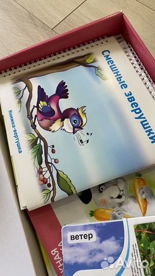 Чтение с пеленок + мир на ладошке