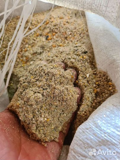 Пшеница, ячмень, овес, кукуруза, комбикорм