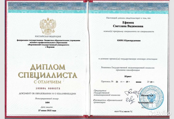 Юрист. Развод, алименты, споры о детях