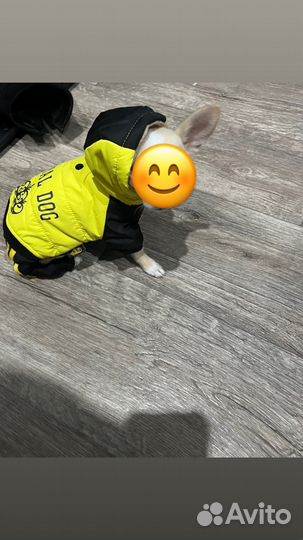 Для животных