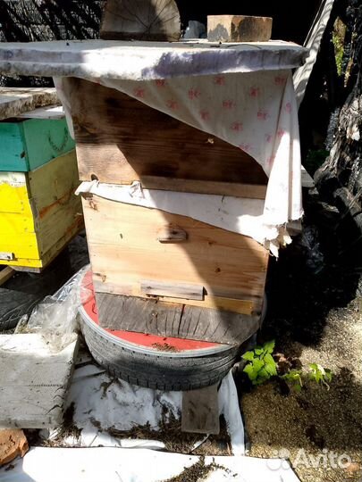 Продам пасеку