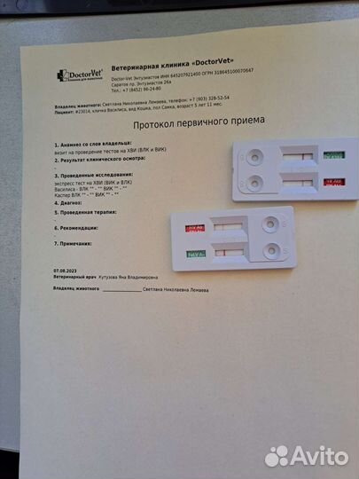 Кошечка в добрые руки