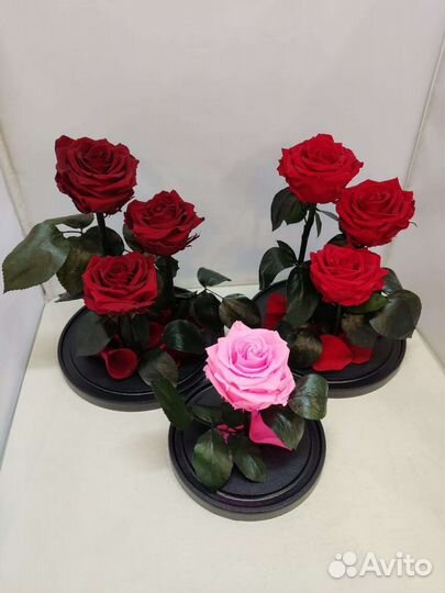 Подарок на новый год / Цветы