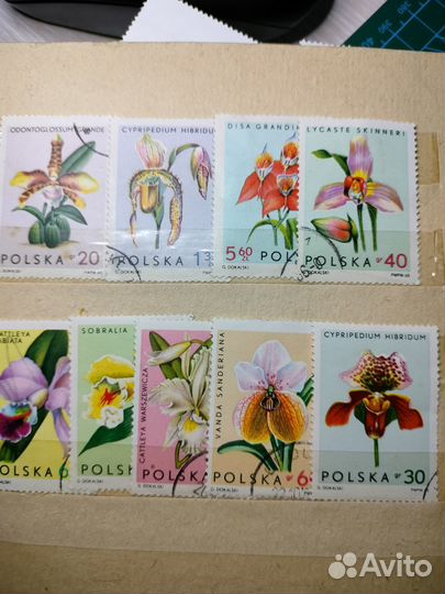 Марки(альбом с марками)