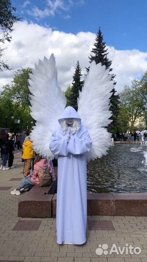 Крылья ангела