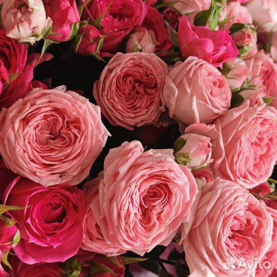 Цветы Розы и Букеты с доставкой