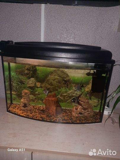Аквариум 100 литров со всем содержимым