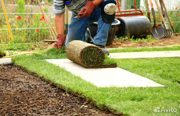 Рулонный газон от производителя. Укладка газона
