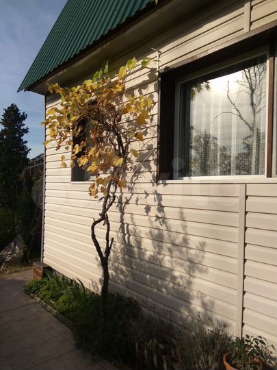 Дом 50 м² на участке 6 сот.