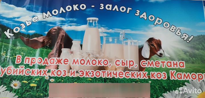 Молоко козье сметана