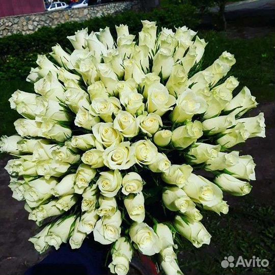 Цветы розы букет