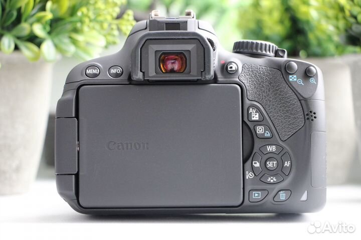 Canon 650d + 18-55mm идеал