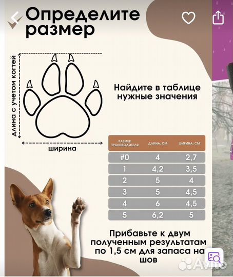 Сапожки для собак